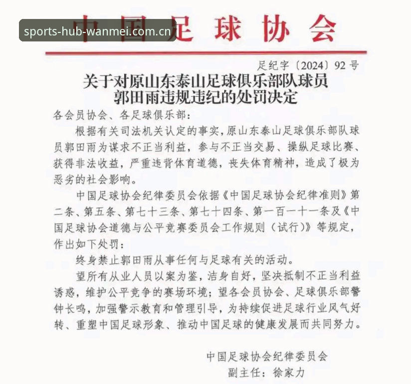 中国足协第三批禁足名单详解：17人终身禁赛背后的行业变革信号